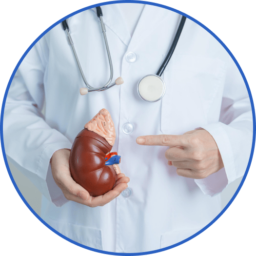 Акция “Здоровье печени Консультация гастроэнтеролога + УЗИ ОБП со скидкой 20% + в подарок исследование крови на АЛТ, АСТ