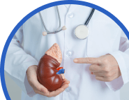 Акция “Здоровье печени Консультация гастроэнтеролога + УЗИ ОБП со скидкой 20% + в подарок исследование крови на АЛТ, АСТ